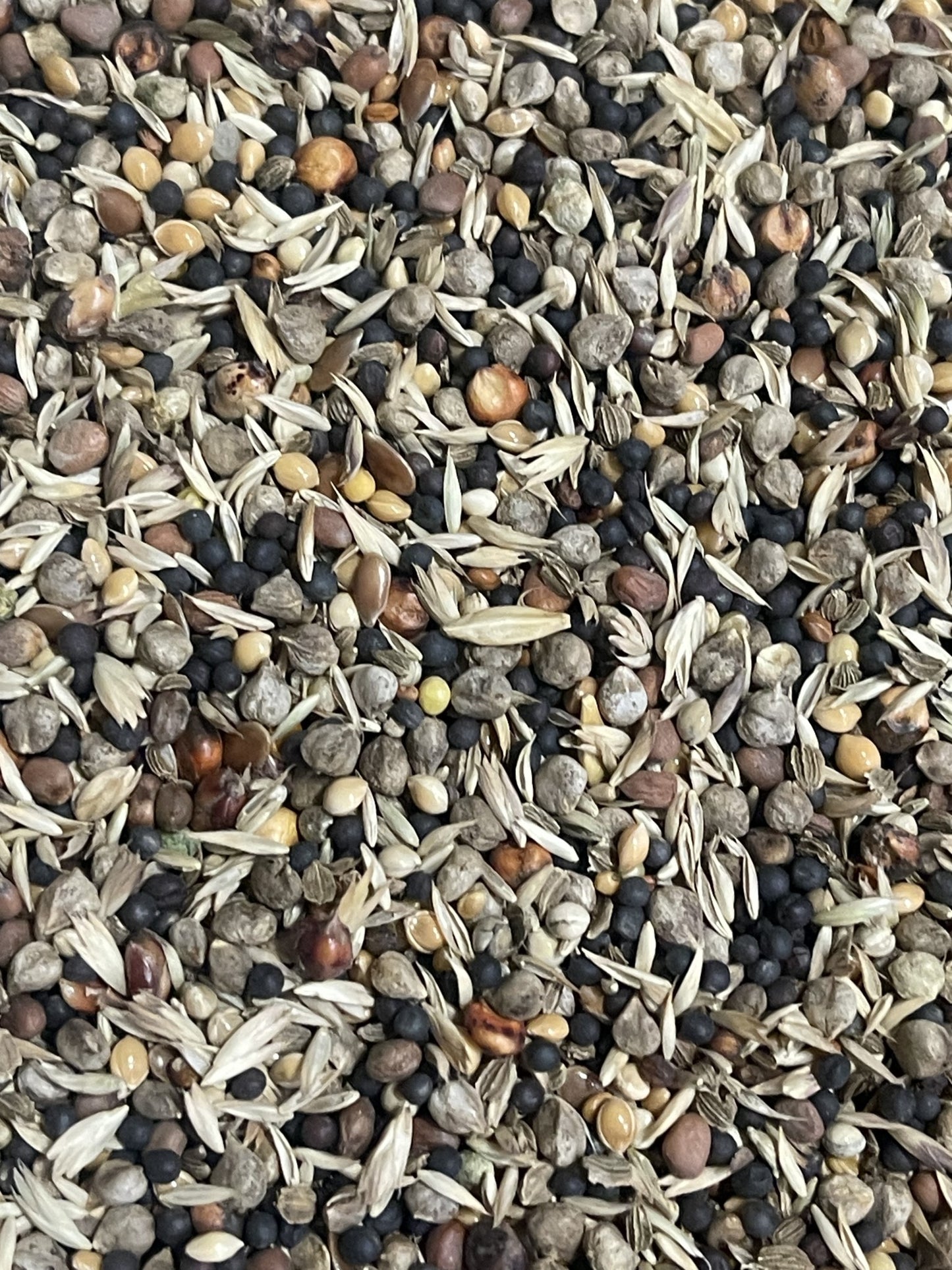 Health seed extra - Bird Supreme
