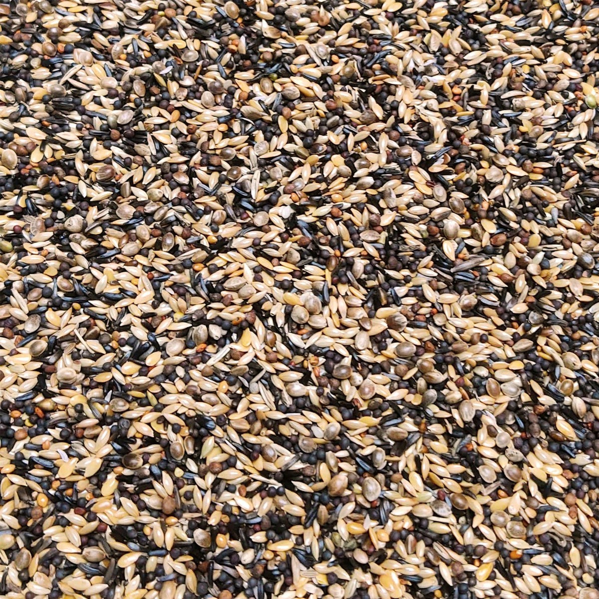 Siskins & goldfinches