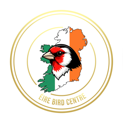 EireBirds