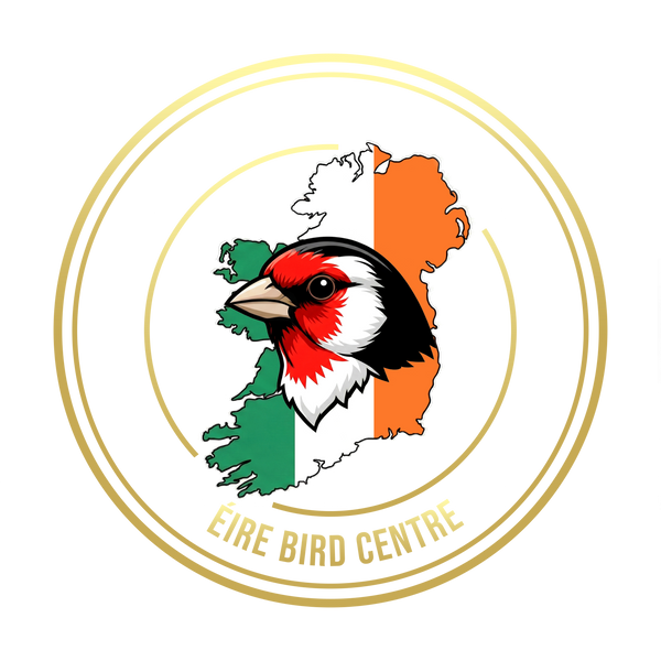 EireBirds