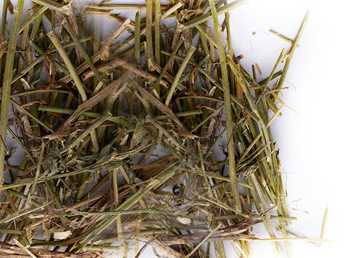 Sisal Fibre Psittacine Mix