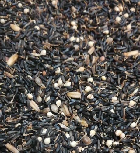Germix- Germinated seed for canaries.