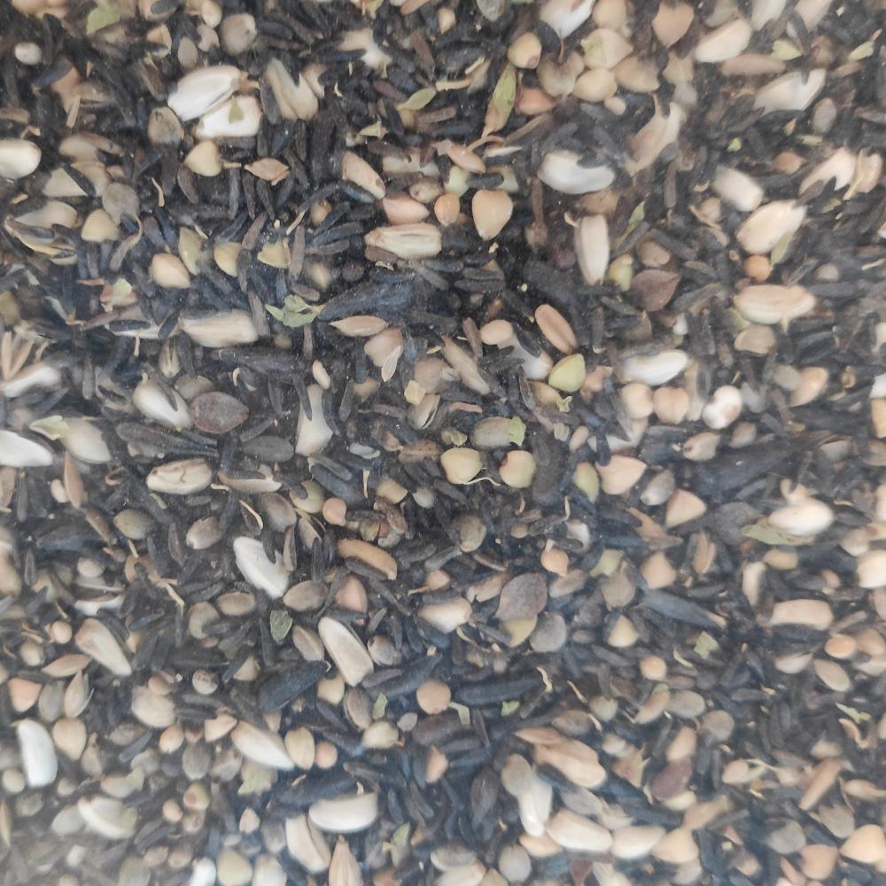 Germix - finches sprouted seed.