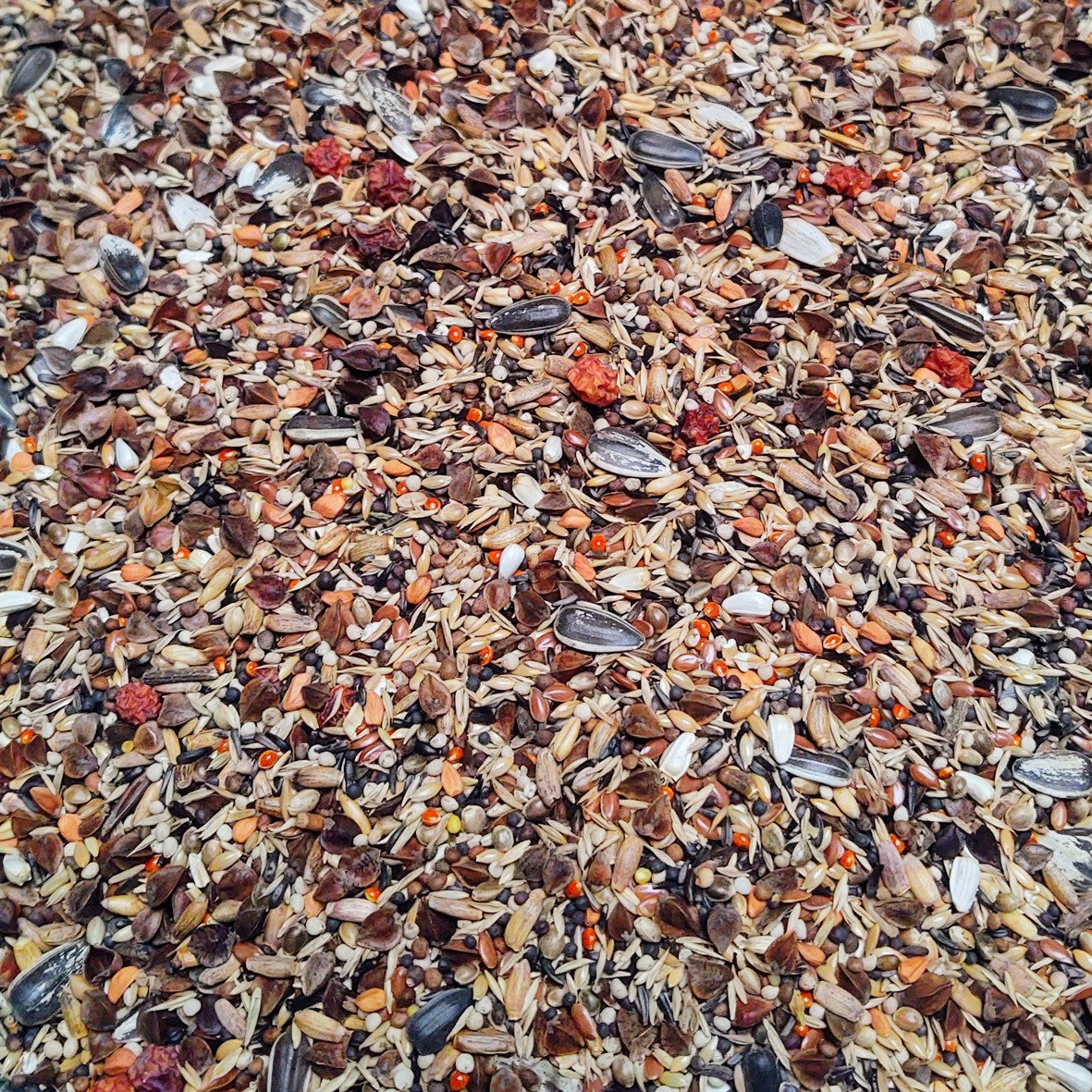 Bullfinch mix