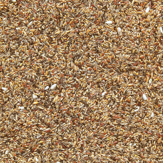 European finches without rapeseed