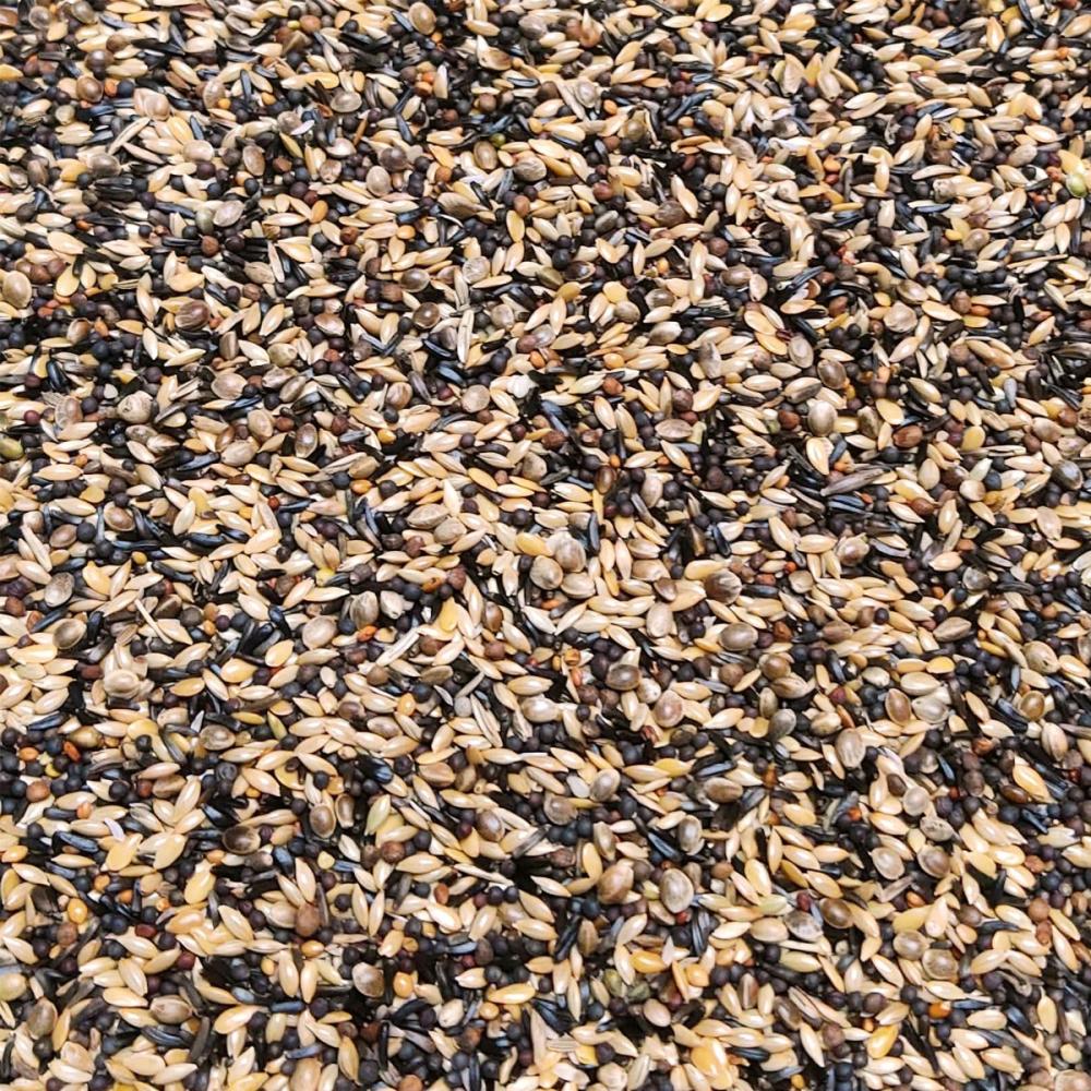 Siskins & goldfinches super