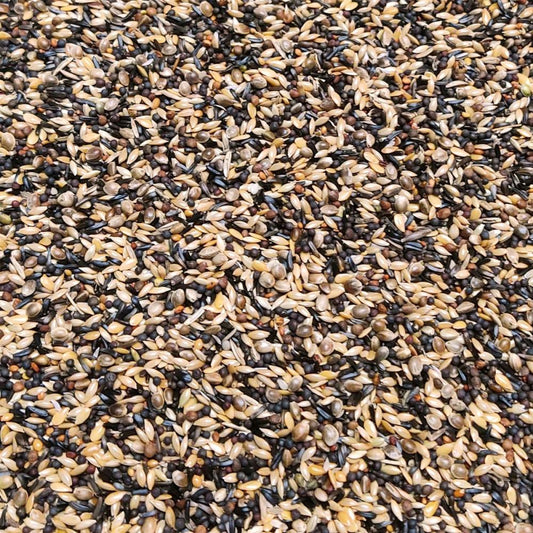 Siskins & goldfinches super
