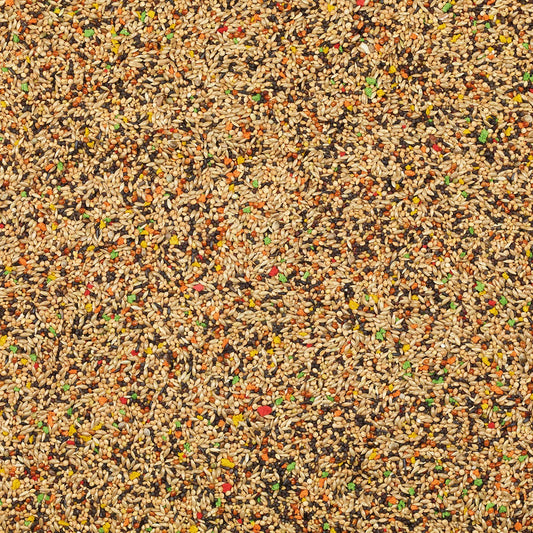 Tropical finches colour mix
