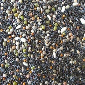 Soak seed