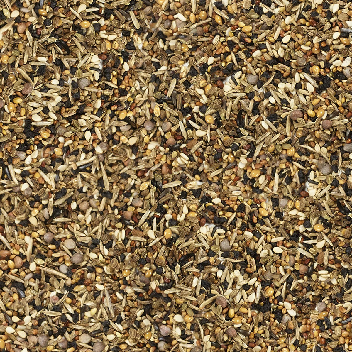 Wild seeds