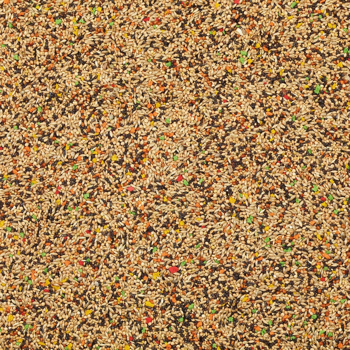 Tropical finches colour mix